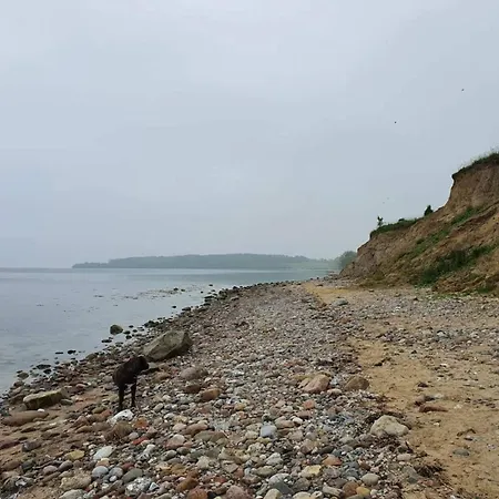 Дом отдыха 4 Person In